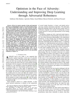 Optimism in the Face of Adversity: Understanding and Improving Deep
  Learning through Adversarial Robustness
