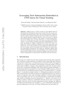 Leveraging Tacit Information Embedded in CNN Layers for Visual Tracking