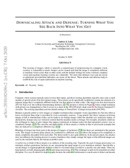 Downscaling Attack and Defense: Turning What You See Back Into What You
  Get