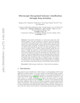 Microscopic fine-grained instance classification through deep attention