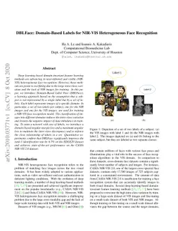 DBLFace: Domain-Based Labels for NIR-VIS Heterogeneous Face Recognition
