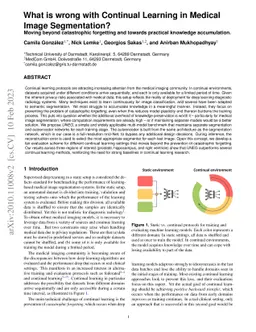 What is Wrong with Continual Learning in Medical Image Segmentation?