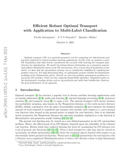 Efficient Robust Optimal Transport with Application to Multi-Label
  Classification