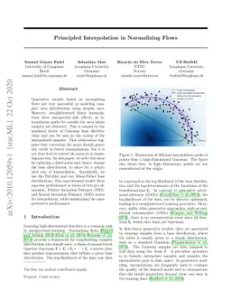 Principled Interpolation in Normalizing Flows