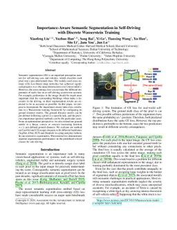 Importance-Aware Semantic Segmentation in Self-Driving with Discrete
  Wasserstein Training