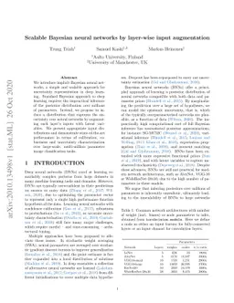 Scalable Bayesian neural networks by layer-wise input augmentation
