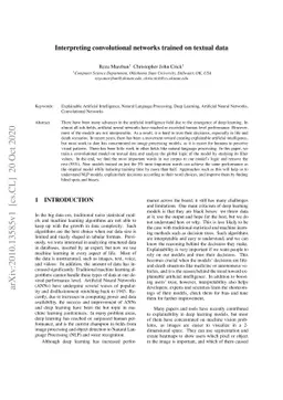 Interpreting convolutional networks trained on textual data