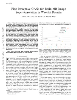 Fine Perceptive GANs for Brain MR Image Super-Resolution in Wavelet
  Domain