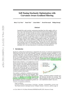 Self-Tuning Stochastic Optimization with Curvature-Aware Gradient
  Filtering