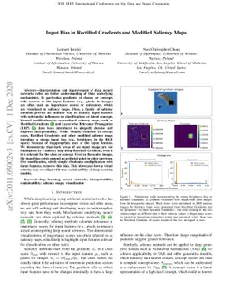 Input Bias in Rectified Gradients and Modified Saliency Maps