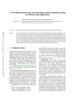 A CNN-based Feature Space for Semi-supervised Incremental Learning in
  Assisted Living Applications