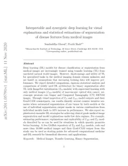 Interpretable and synergistic deep learning for visual explanation and
  statistical estimations of segmentation of disease features from medical
  images