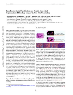 Deep Interpretable Classification and Weakly-Supervised Segmentation of
  Histology Images via Max-Min Uncertainty