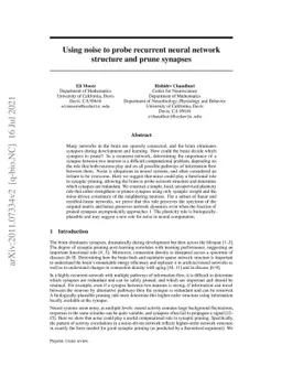Using noise to probe recurrent neural network structure and prune
  synapses