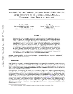 Advances in the training, pruning and enforcement of shape constraints
  of Morphological Neural Networks using Tropical Algebra