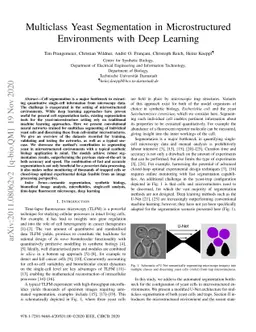 Multiclass Yeast Segmentation in Microstructured Environments with Deep
  Learning