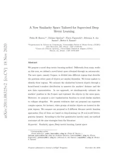 A New Similarity Space Tailored for Supervised Deep Metric Learning