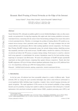 Dynamic Hard Pruning of Neural Networks at the Edge of the Internet