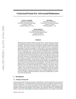 Contextual Fusion For Adversarial Robustness