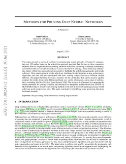 Methods for Pruning Deep Neural Networks