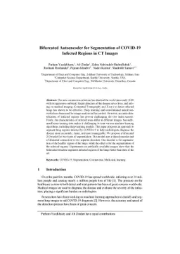 Bifurcated Autoencoder for Segmentation of COVID-19 Infected Regions in
  CT Images