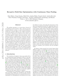 Receptive Field Size Optimization with Continuous Time Pooling