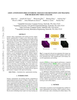 ASIST: Annotation-free synthetic instance segmentation and tracking for
  microscope video analysis