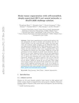 Brain tumor segmentation with self-ensembled, deeply-supervised 3D U-net
  neural networks: a BraTS 2020 challenge solution