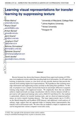 Learning Visual Representations for Transfer Learning by Suppressing
  Texture