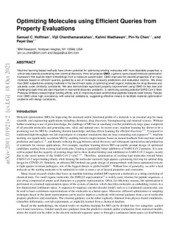 Optimizing Molecules using Efficient Queries from Property Evaluations