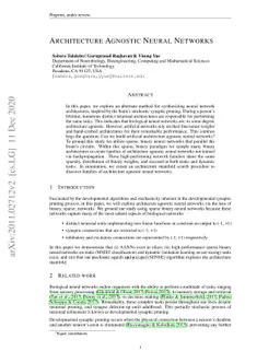 Architecture Agnostic Neural Networks