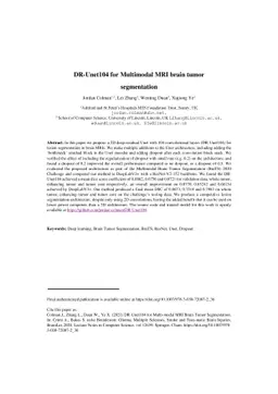 DR-Unet104 for Multimodal MRI brain tumor segmentation