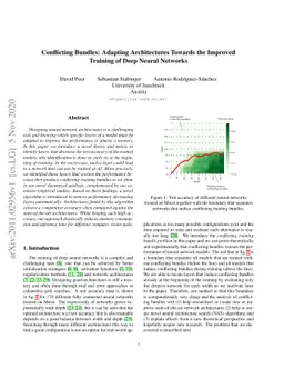 Conflicting Bundles: Adapting Architectures Towards the Improved
  Training of Deep Neural Networks