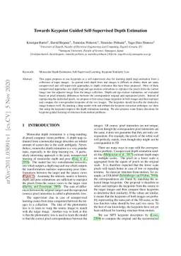 Towards Keypoint Guided Self-Supervised Depth Estimation