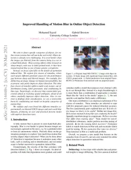 Improved Handling of Motion Blur in Online Object Detection