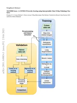 MAVIDH Score: A COVID-19 Severity Scoring using Chest X-Ray Pathology
  Features