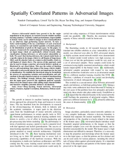 Spatially Correlated Patterns in Adversarial Images