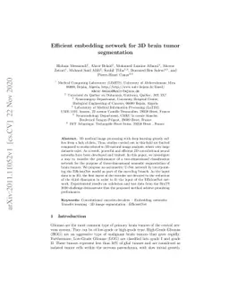 Efficient embedding network for 3D brain tumor segmentation