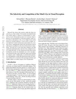 The Selectivity and Competition of the Mind's Eye in Visual Perception