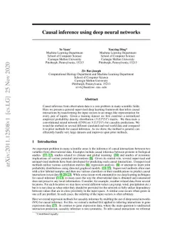 Causal inference using deep neural networks