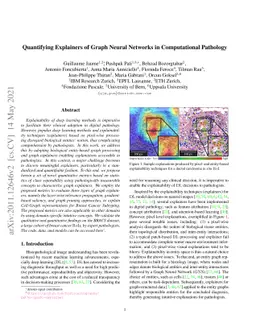 Quantifying Explainers of Graph Neural Networks in Computational
  Pathology