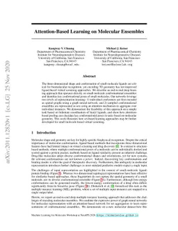Attention-Based Learning on Molecular Ensembles