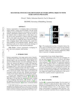 MultiStar: Instance Segmentation of Overlapping Objects with Star-Convex
  Polygons