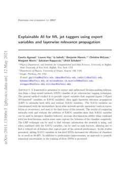 Explainable AI for ML jet taggers using expert variables and layerwise
  relevance propagation