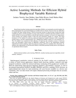 Active Learning Methods for Efficient Hybrid Biophysical Variable
  Retrieval