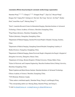 Annotation-efficient deep learning for automatic medical image
  segmentation