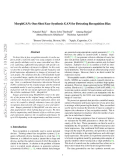 MorphGAN: One-Shot Face Synthesis GAN for Detecting Recognition Bias