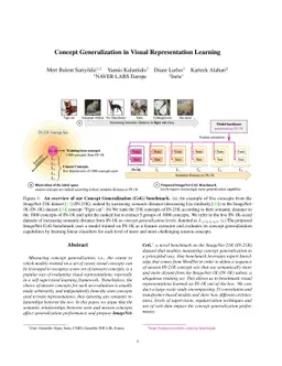 Concept Generalization in Visual Representation Learning