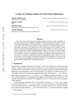 A Study of Condition Numbers for First-Order Optimization