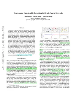 Overcoming Catastrophic Forgetting in Graph Neural Networks